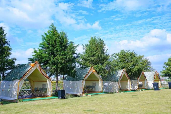 茶、露营、带娃遛狗……就藏在你熟悉的这里→新葡京网上赌场闵行竟有这样的田园惬意！品(图1)