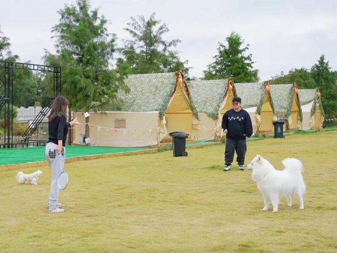茶、露营、带娃遛狗……就藏在你熟悉的这里→新葡京网上赌场闵行竟有这样的田园惬意！品(图5)